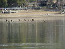 Filename=IMG_0093.JPG
Filesize=485KiB
Dimensions=2048x1536
Date added=Feb 11, 2018 IMG_0093.JPG