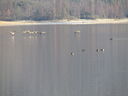 Filename=IMG_0094.JPG
Filesize=298KiB
Dimensions=2048x1536
Date added=Feb 11, 2018 IMG_0094.JPG