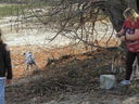 Filename=IMG_0098.JPG
Filesize=938KiB
Dimensions=2048x1536
Date added=Feb 11, 2018 IMG_0098.JPG