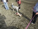 Filename=IMG_0109.JPG
Filesize=989KiB
Dimensions=2048x1536
Date added=Feb 11, 2018 IMG_0109.JPG