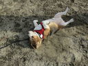 Filename=IMG_0111.JPG
Filesize=1089KiB
Dimensions=2048x1536
Date added=Feb 11, 2018 IMG_0111.JPG