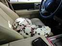 Filename=IMG_0112.JPG
Filesize=432KiB
Dimensions=2048x1536
Date added=Feb 11, 2018 IMG_0112.JPG