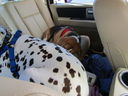 Filename=IMG_0113.JPG
Filesize=348KiB
Dimensions=2048x1536
Date added=Feb 11, 2018 IMG_0113.JPG