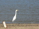 Filename=IMG_0115.JPG
Filesize=629KiB
Dimensions=2048x1536
Date added=Feb 11, 2018 IMG_0115.JPG
