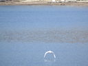 Filename=IMG_0117.JPG
Filesize=510KiB
Dimensions=2048x1536
Date added=Feb 11, 2018 IMG_0117.JPG
