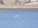 Filename=IMG_0118.JPG
Filesize=490KiB
Dimensions=2048x1536
Date added=Feb 11, 2018 IMG_0118.JPG