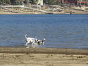 Filename=IMG_0121.JPG
Filesize=710KiB
Dimensions=2048x1536
Date added=Feb 11, 2018 IMG_0121.JPG