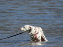 Filename=IMG_0122.JPG
Filesize=472KiB
Dimensions=2048x1536
Date added=Feb 11, 2018 IMG_0122.JPG
