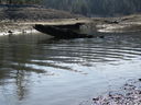 Filename=IMG_0124.JPG
Filesize=730KiB
Dimensions=2048x1536
Date added=Feb 11, 2018 IMG_0124.JPG