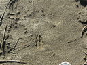 Filename=IMG_0127.JPG
Filesize=1504KiB
Dimensions=2048x1536
Date added=Feb 11, 2018 IMG_0127.JPG