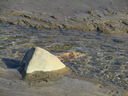Filename=IMG_0128.JPG
Filesize=632KiB
Dimensions=2048x1536
Date added=Feb 11, 2018 IMG_0128.JPG
