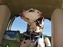 Filename=IMG_0133.JPG
Filesize=355KiB
Dimensions=2048x1536
Date added=Feb 11, 2018 IMG_0133.JPG