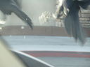 Filename=IMG_0134.JPG
Filesize=227KiB
Dimensions=2048x1536
Date added=Feb 11, 2018 IMG_0134.JPG