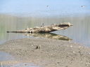 Filename=IMG_0137.JPG
Filesize=732KiB
Dimensions=2048x1536
Date added=Feb 11, 2018 IMG_0137.JPG