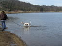 Filename=IMG_0141.JPG
Filesize=586KiB
Dimensions=2048x1536
Date added=Feb 11, 2018 IMG_0141.JPG