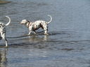 Filename=IMG_0142.JPG
Filesize=675KiB
Dimensions=2048x1536
Date added=Feb 11, 2018 IMG_0142.JPG