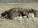 Filename=IMG_0144.JPG
Filesize=779KiB
Dimensions=2048x1536
Date added=Feb 11, 2018 IMG_0144.JPG