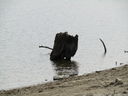 Filename=IMG_0147.JPG
Filesize=488KiB
Dimensions=2048x1536
Date added=Feb 11, 2018 IMG_0147.JPG