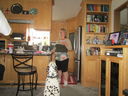 Filename=IMG_0153.JPG
Filesize=465KiB
Dimensions=2048x1536
Date added=Feb 11, 2018 IMG_0153.JPG