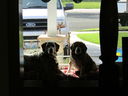Filename=IMG_0154.JPG
Filesize=300KiB
Dimensions=2048x1536
Date added=Feb 11, 2018 IMG_0154.JPG
