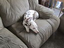 Filename=IMG_0158.JPG
Filesize=451KiB
Dimensions=2048x1536
Date added=Feb 11, 2018 IMG_0158.JPG