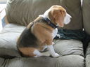 Filename=IMG_0178.JPG
Filesize=333KiB
Dimensions=2048x1536
Date added=Feb 11, 2018 IMG_0178.JPG