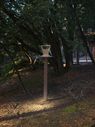 Filename=100_1299.JPG
Filesize=475KiB
Dimensions=1534x2047
Date added=Feb 01, 2018 100_1299.JPG
