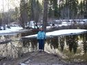 Filename=100_1303.JPG
Filesize=652KiB
Dimensions=2047x1534
Date added=Feb 01, 2018 100_1303.JPG