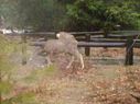 Filename=100_1327.JPG
Filesize=486KiB
Dimensions=2047x1534
Date added=Feb 01, 2018 100_1327.JPG