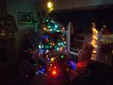 Filename=100_0490.JPG
Filesize=638KiB
Dimensions=2047x1534
Date added=Feb 01, 2018 100_0490.JPG