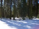 Filename=100_0526.JPG
Filesize=524KiB
Dimensions=2047x1534
Date added=Feb 01, 2018 100_0526.JPG