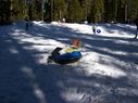 Filename=100_0531.JPG
Filesize=429KiB
Dimensions=2047x1534
Date added=Feb 01, 2018 100_0531.JPG