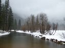 Filename=100_0584.jpg
Filesize=294KiB
Dimensions=2047x1534
Date added=Feb 01, 2018 100_0584.jpg