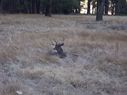 Filename=100_0246.JPG
Filesize=589KiB
Dimensions=2047x1533
Date added=Feb 01, 2018 100_0246.JPG