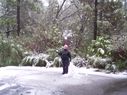 Filename=100_0279.JPG
Filesize=637KiB
Dimensions=2047x1533
Date added=Feb 01, 2018 100_0279.JPG