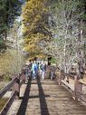 Filename=100_0425.jpg
Filesize=952KiB
Dimensions=1534x2047
Date added=Feb 01, 2018 100_0425.jpg