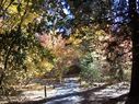 Filename=100_0336.JPG
Filesize=994KiB
Dimensions=2047x1534
Date added=Feb 01, 2018 100_0336.JPG