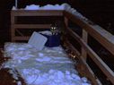 Filename=100_0364.JPG
Filesize=507KiB
Dimensions=2047x1534
Date added=Feb 01, 2018 100_0364.JPG