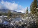 Filename=100_0432.JPG
Filesize=659KiB
Dimensions=2047x1534
Date added=Feb 01, 2018 100_0432.JPG
