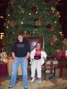 Filename=100_0440.JPG
Filesize=697KiB
Dimensions=1534x2047
Date added=Feb 01, 2018 100_0440.JPG