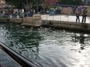 Filename=100_0471.JPG
Filesize=581KiB
Dimensions=2047x1534
Date added=Feb 01, 2018 100_0471.JPG