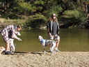Filename=IMG_0320.JPG
Filesize=1009KiB
Dimensions=2048x1536
Date added=Feb 01, 2018 IMG_0320.JPG