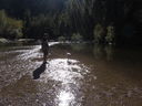 Filename=IMG_0325.JPG
Filesize=711KiB
Dimensions=2048x1536
Date added=Feb 01, 2018 IMG_0325.JPG