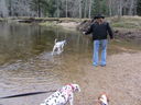 Filename=IMG_0350.JPG
Filesize=634KiB
Dimensions=2048x1536
Date added=Feb 01, 2018 IMG_0350.JPG