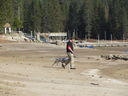 Filename=IMG_0353.JPG
Filesize=614KiB
Dimensions=2048x1536
Date added=Feb 01, 2018 IMG_0353.JPG