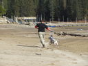 Filename=IMG_0355.JPG
Filesize=609KiB
Dimensions=2048x1536
Date added=Feb 01, 2018 IMG_0355.JPG