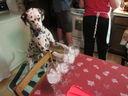 Filename=IMG_0368.JPG
Filesize=390KiB
Dimensions=2048x1536
Date added=Feb 01, 2018 IMG_0368.JPG