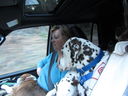 Filename=IMG_0379.JPG
Filesize=347KiB
Dimensions=2048x1536
Date added=Feb 01, 2018 IMG_0379.JPG