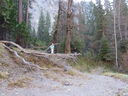 Filename=IMG_0393.JPG
Filesize=900KiB
Dimensions=2048x1536
Date added=Feb 01, 2018 IMG_0393.JPG