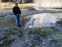 Filename=IMG_0397.JPG
Filesize=714KiB
Dimensions=2048x1536
Date added=Feb 01, 2018 IMG_0397.JPG